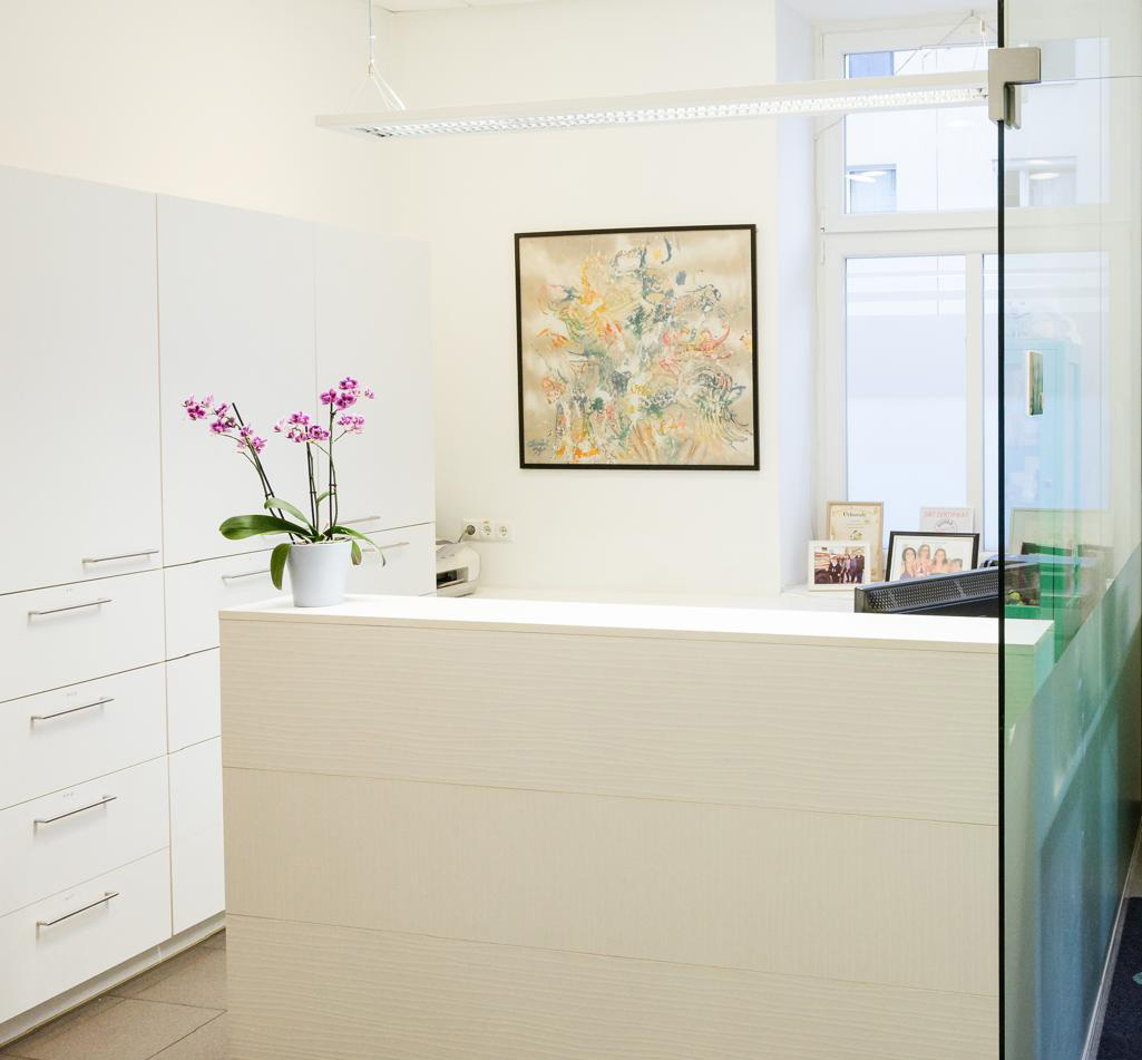 Rezeption - Domanovits