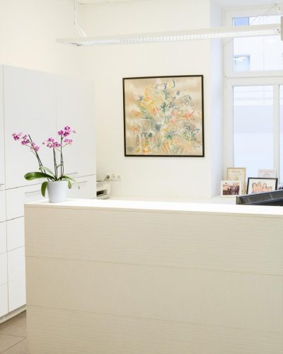 Rezeption - Domanovits